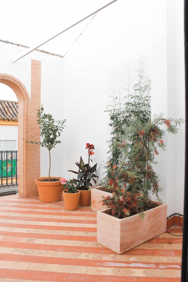 Apartamento Monkeys Pureza House Sevilha
